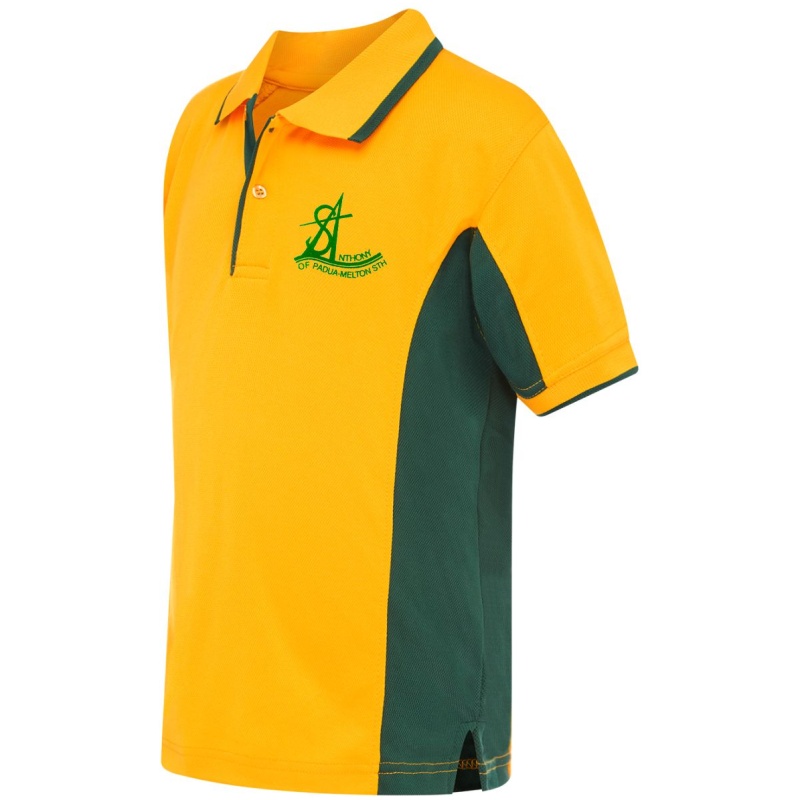Grade 6 Polo 2025